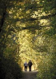 美国绿色行动,引领美国可持续发展的未来之路