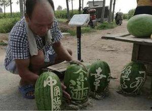 卖瓜风波后，他在农村翻了身,他如何在农村实现翻身