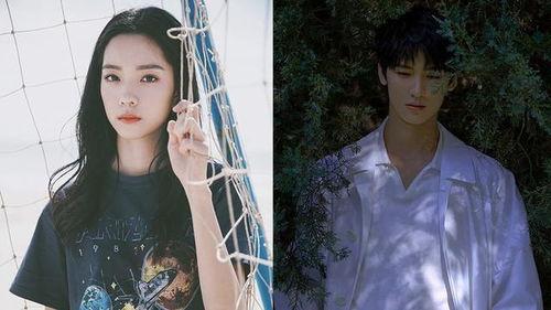 春家小姐是讼师 第一季,律政风云，智斗讼场第一季