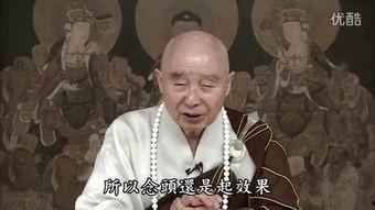 随我婆娑,探寻生命之舞的奥秘与哲理