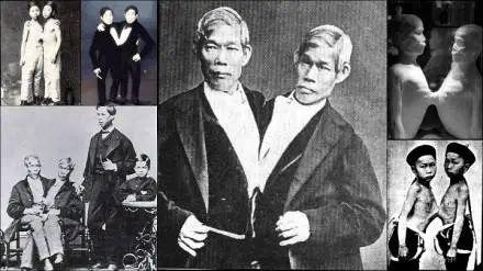 刘氏兄弟,携手共进,谱写家族辉煌篇章