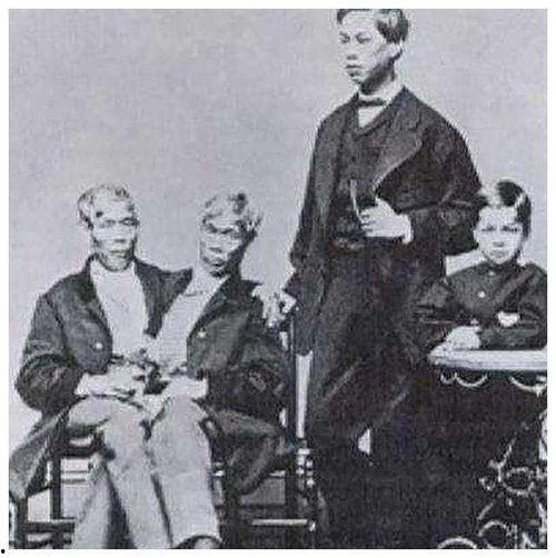 刘氏兄弟,携手共进,谱写家族辉煌篇章