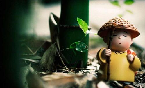 人间自有青云路(隐忍三年,我再世为人),探寻人间青云路的传奇历程