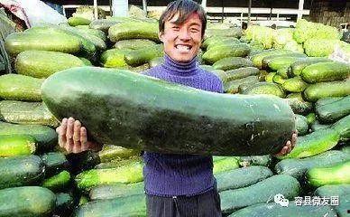 先婚后爱,不,先吃瓜,从吃瓜到爱情的甜蜜转变